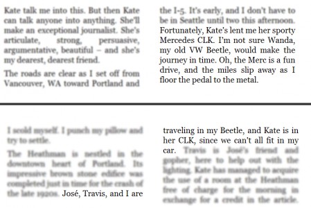 Beetle in Fifty Shades of Grey (2011, Vintage Books, screen capture)